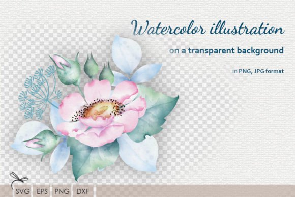 Download Watercolor Floral Illustrations Rosehip - Floral illustrations Collection